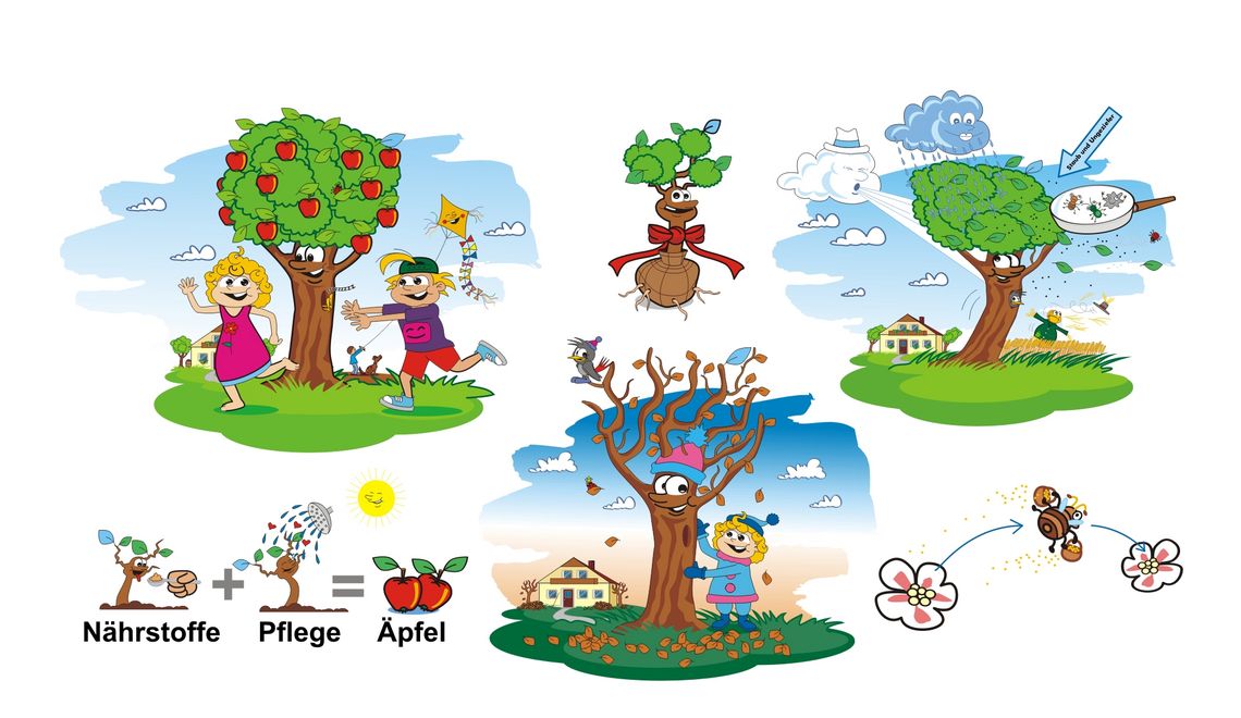 Kinderbuchillustration Der Apelbaum von Anni Schwaninger Tirol